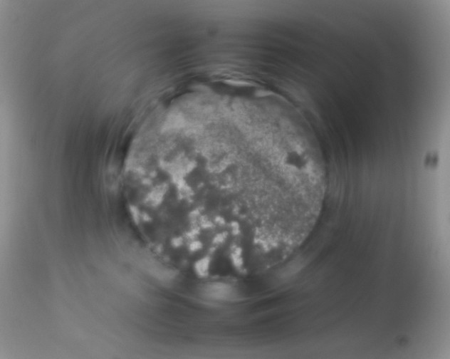 X0000113070285200909182032