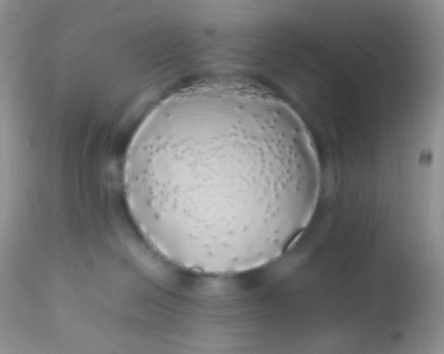 X0000113070286200909182032