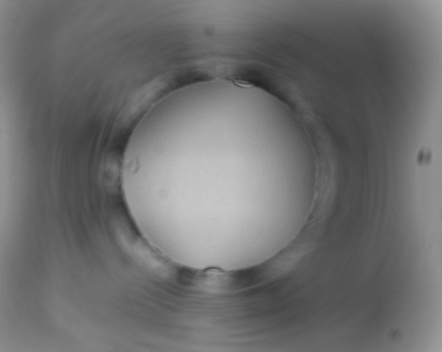 X0000113070288200909182032