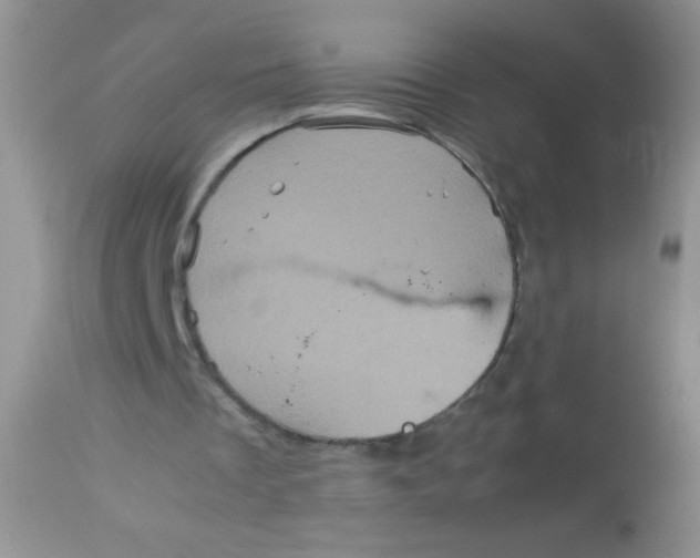 X0000113070289200909182031