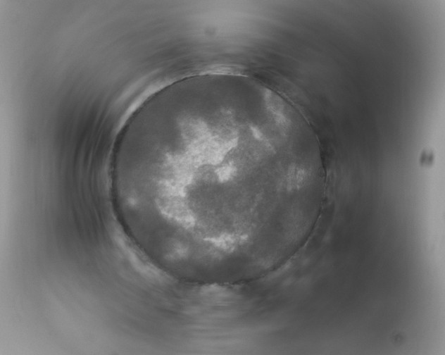 X0000113070290200909182031