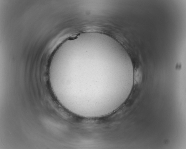 X0000113070291200909182031