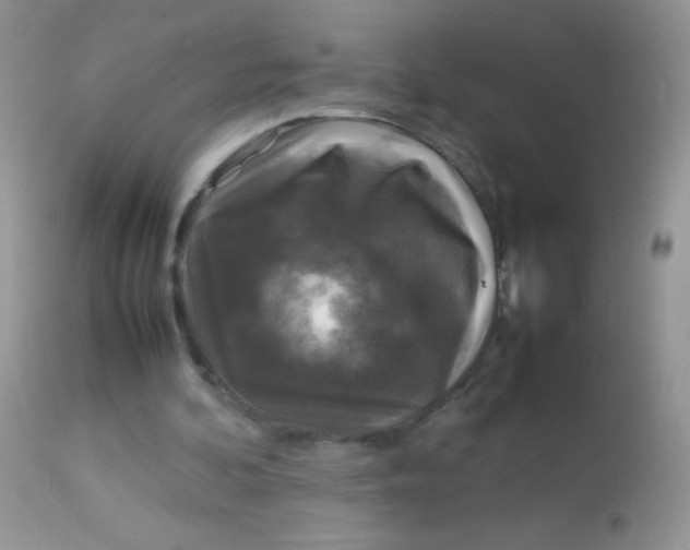 X0000113070292200909182031