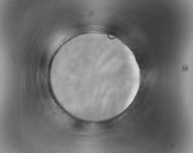 X0000113070293200909182031