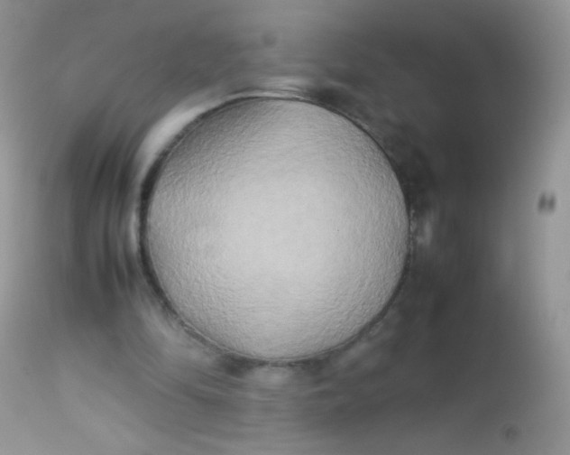 X0000113070294200909182031