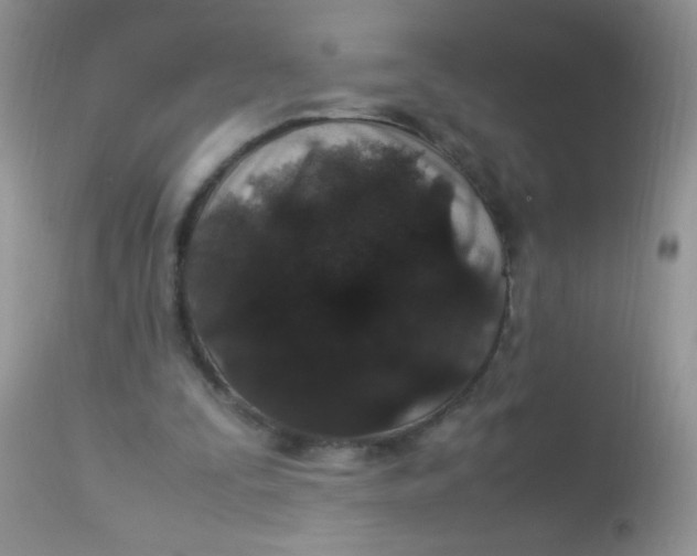 X0000113070295200909182031