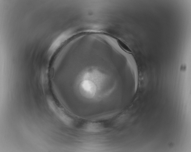 X0000113070296200909182031