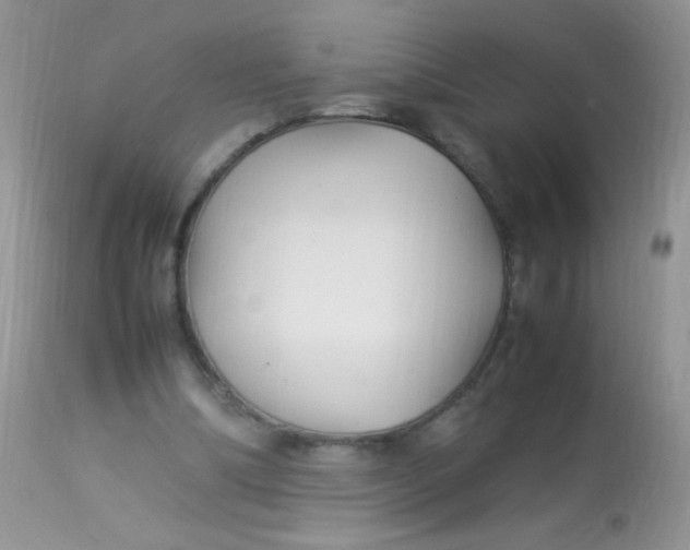 X0000113070298200909182031