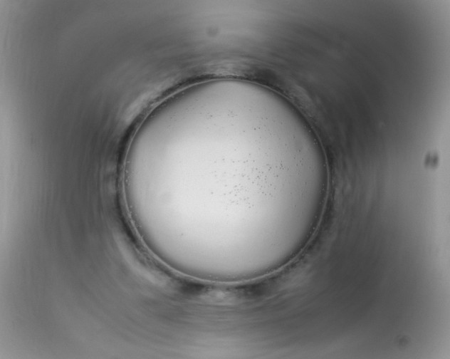 X0000113070299200909182031