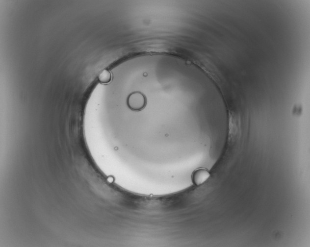 X0000113070301200909182031