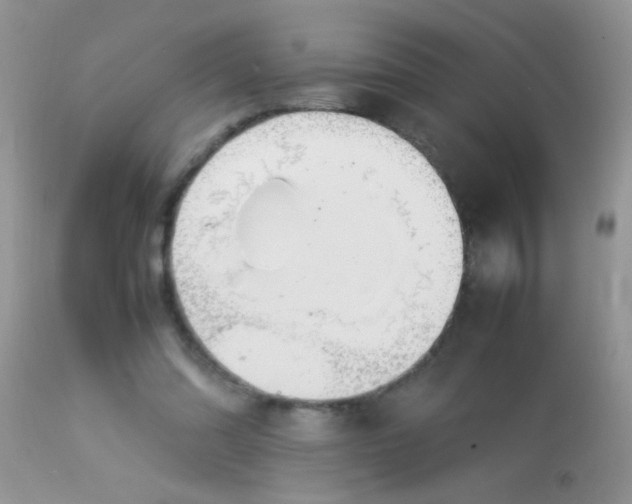 X0000113070302200909182031