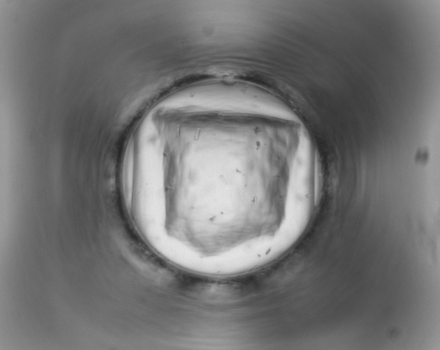 X0000113070303200909182031