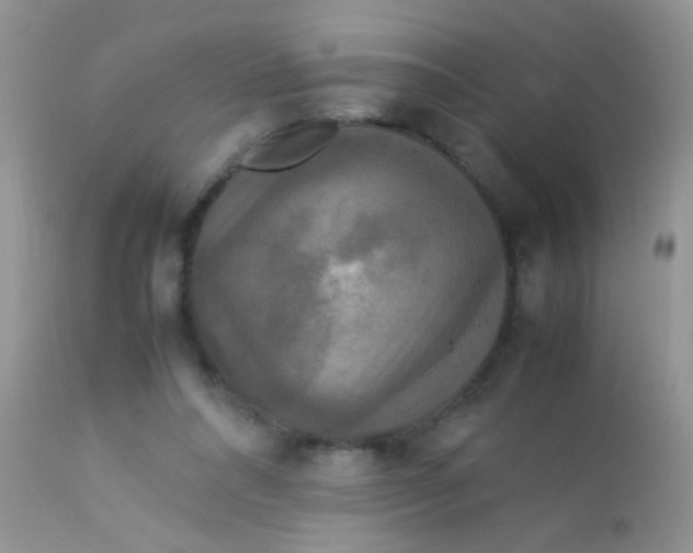 X0000113070304200909182031