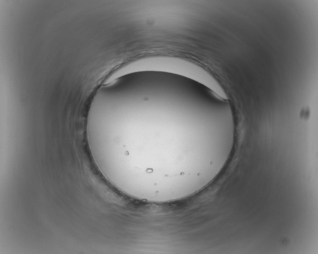 X0000113070305200909182031