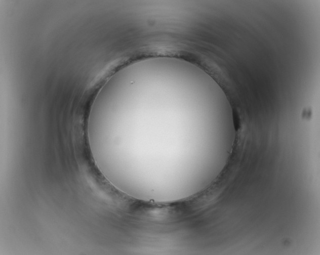 X0000113070306200909182031