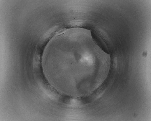 X0000113070308200909182031