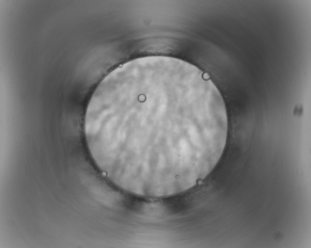 X0000113070309200909182031