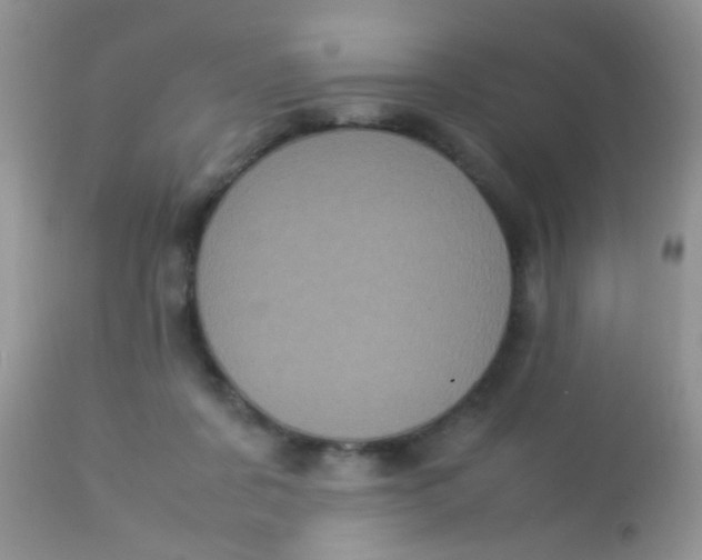 X0000113070311200909182031