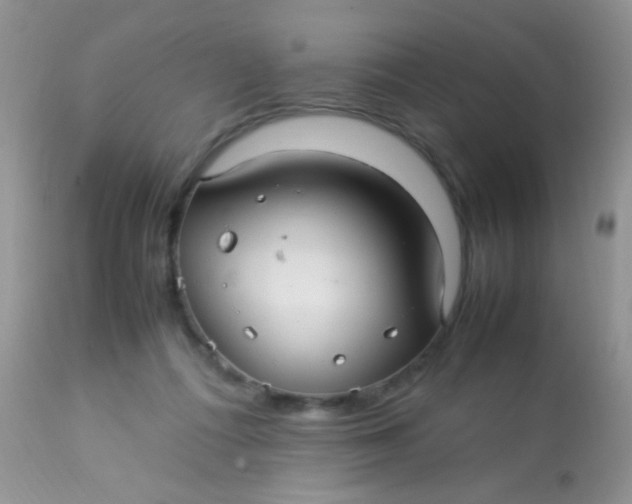 X0000113070312200909182031