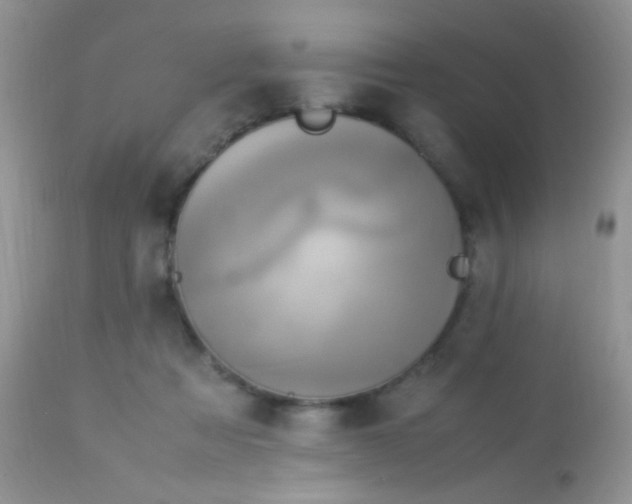 X0000113070313200909182031