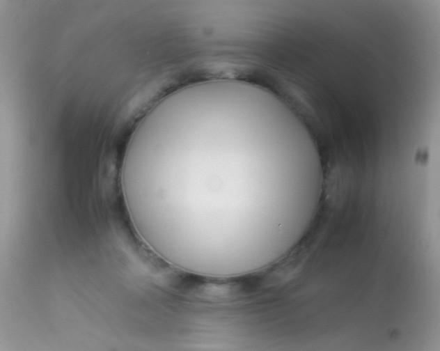 X0000113070314200909182031