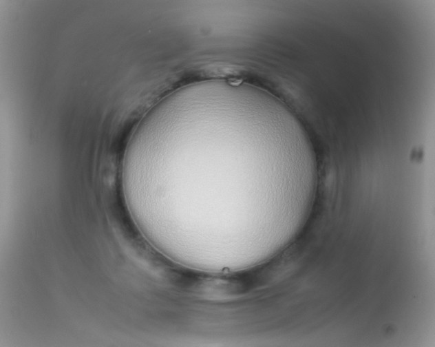 X0000113070315200909182031