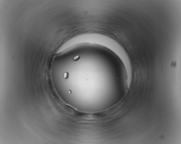 X0000113070316200909182031