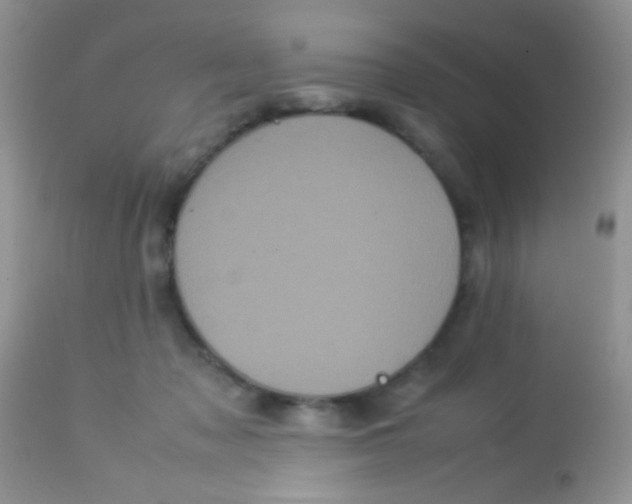 X0000113070317200909182031