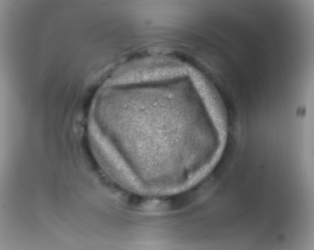 X0000113070319200909182031