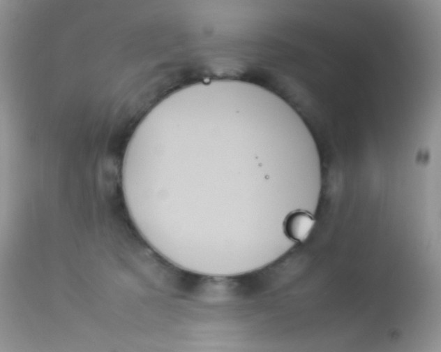 X0000113070321200909182031