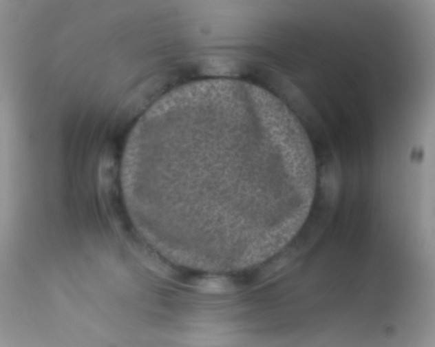 X0000113070322200909182031