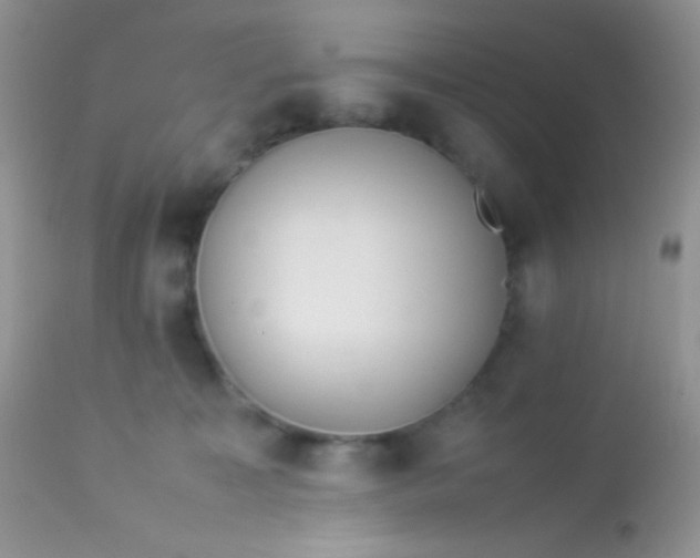 X0000113070323200909182031