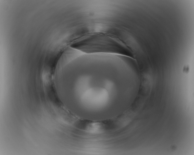 X0000113070324200909182031