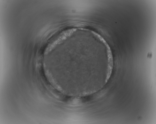 X0000113070325200909182031