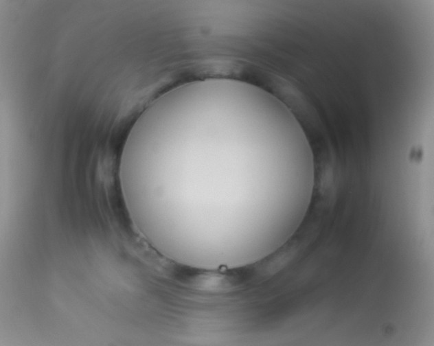 X0000113070326200909182031