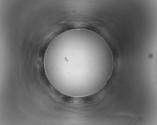 X0000113070327200909182031