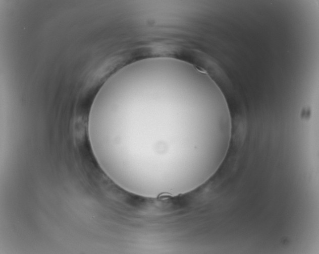 X0000113070329200909182031