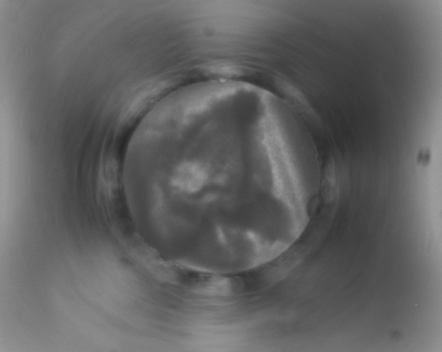 X0000113070330200909182031