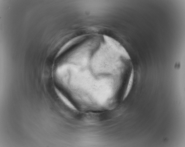 X0000113070331200909182031