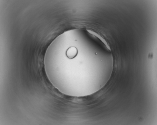 X0000113070332200909182031