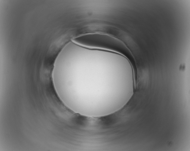 X0000113070333200909182031