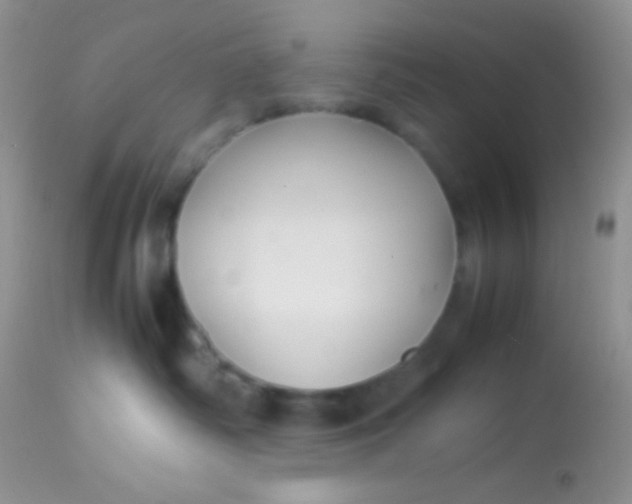 X0000113070334200909182031