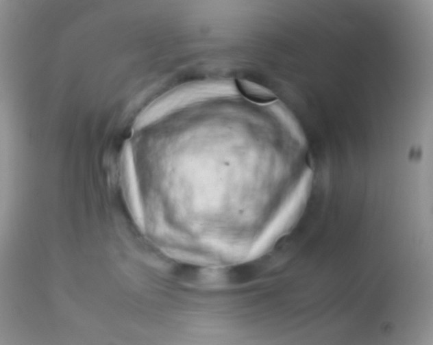 X0000113070335200909182031