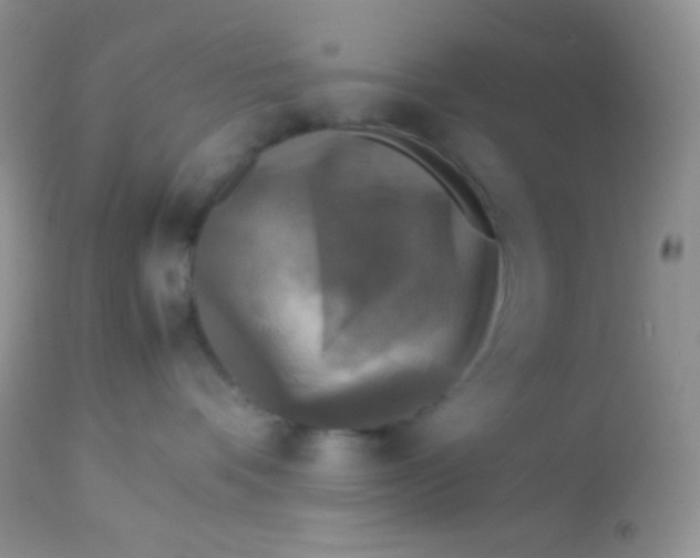 X0000113070336200909182031