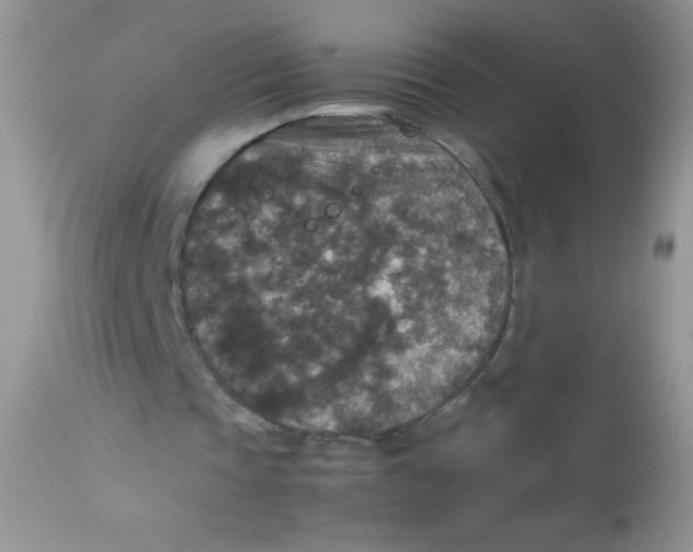 X0000113070337200909182030