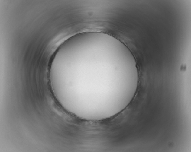 X0000113070338200909182030