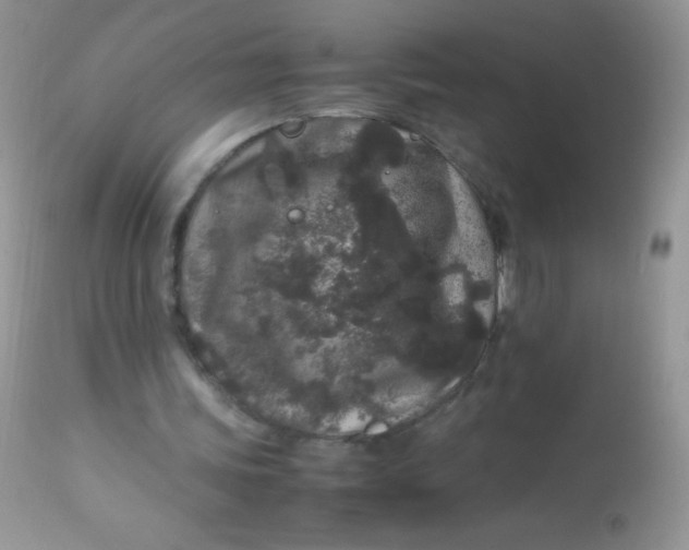 X0000113070339200909182030