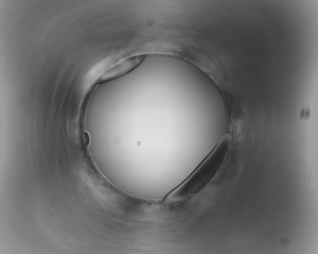 X0000113070340200909182030