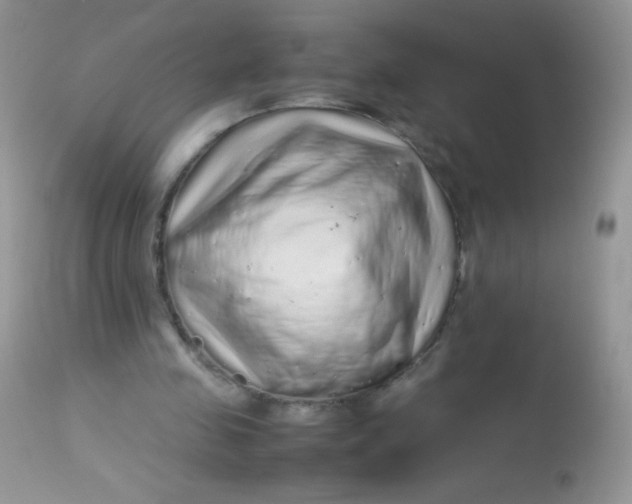 X0000113070341200909182030