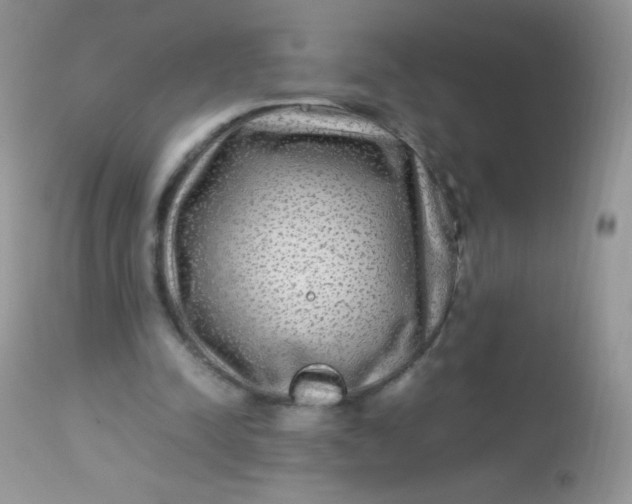 X0000113070342200909182030